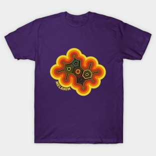 Retro-Afro-Scientific Melanin Realness T-Shirt